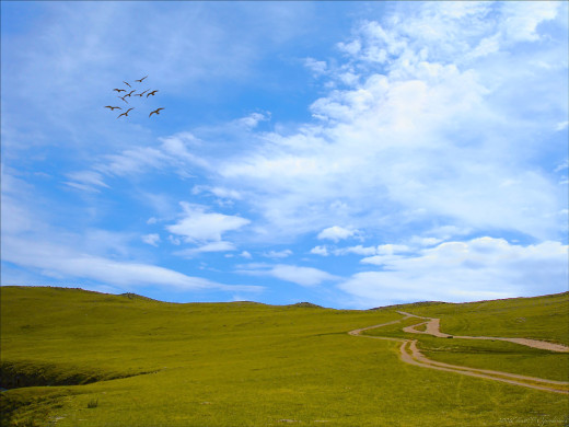 36384 (a): :1600x1200